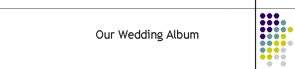 Our Wedding Album